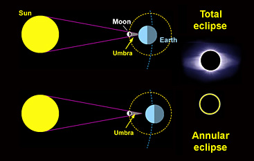  The Moon's relative position between the Sun and Earth is different between total and annular solar eclipses. The difference is caused by the slightly non-circular orbit of the Moon around Earth. (Not to scale) Credit: Sky & Telescope.